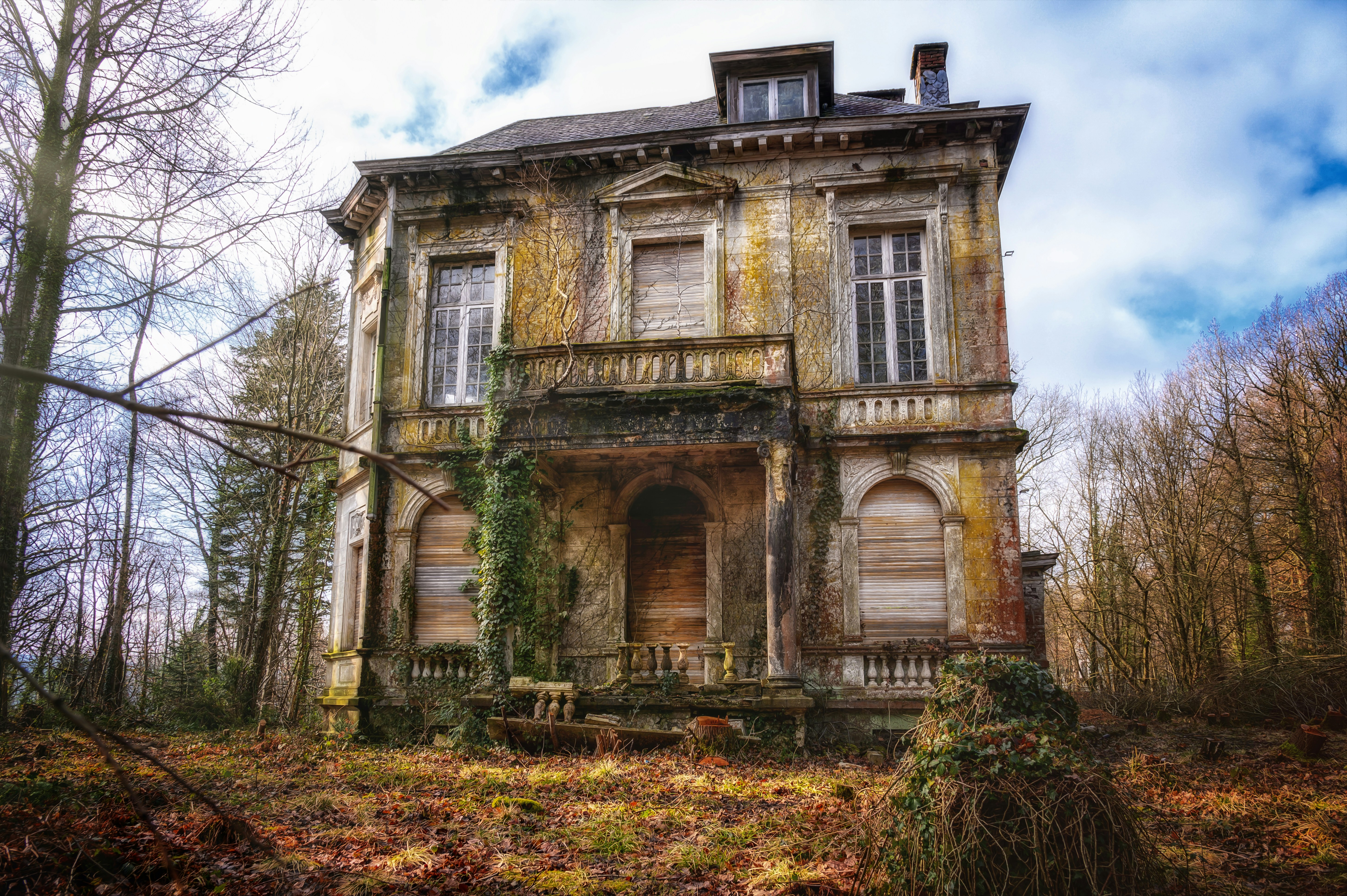 Japanese Knotweed in Liverpool: A Hidden Danger for Property Owners